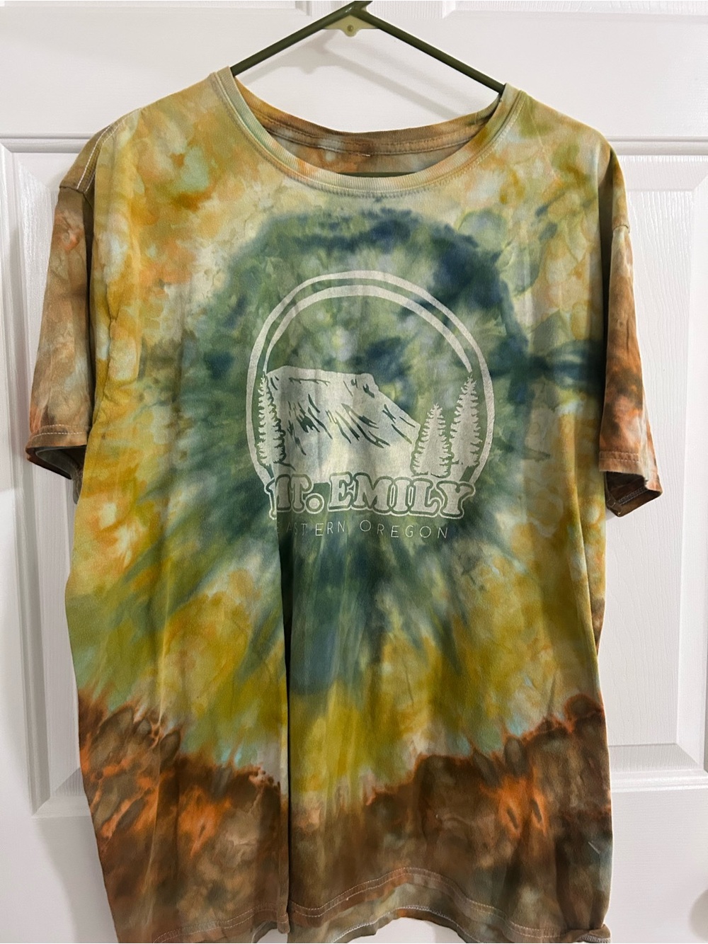 Emily Mountain Logo - Green, Yellow, Brown